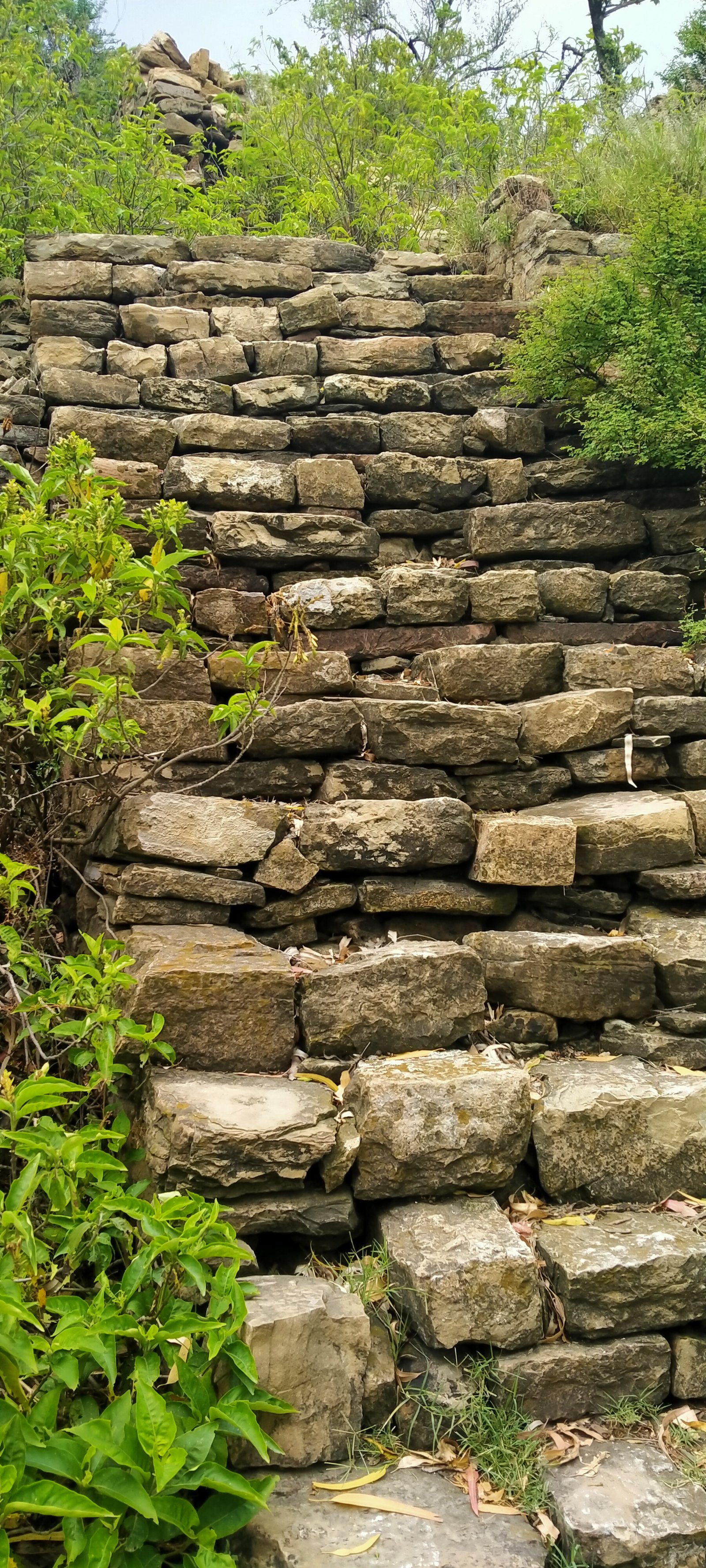 Travel Photo
